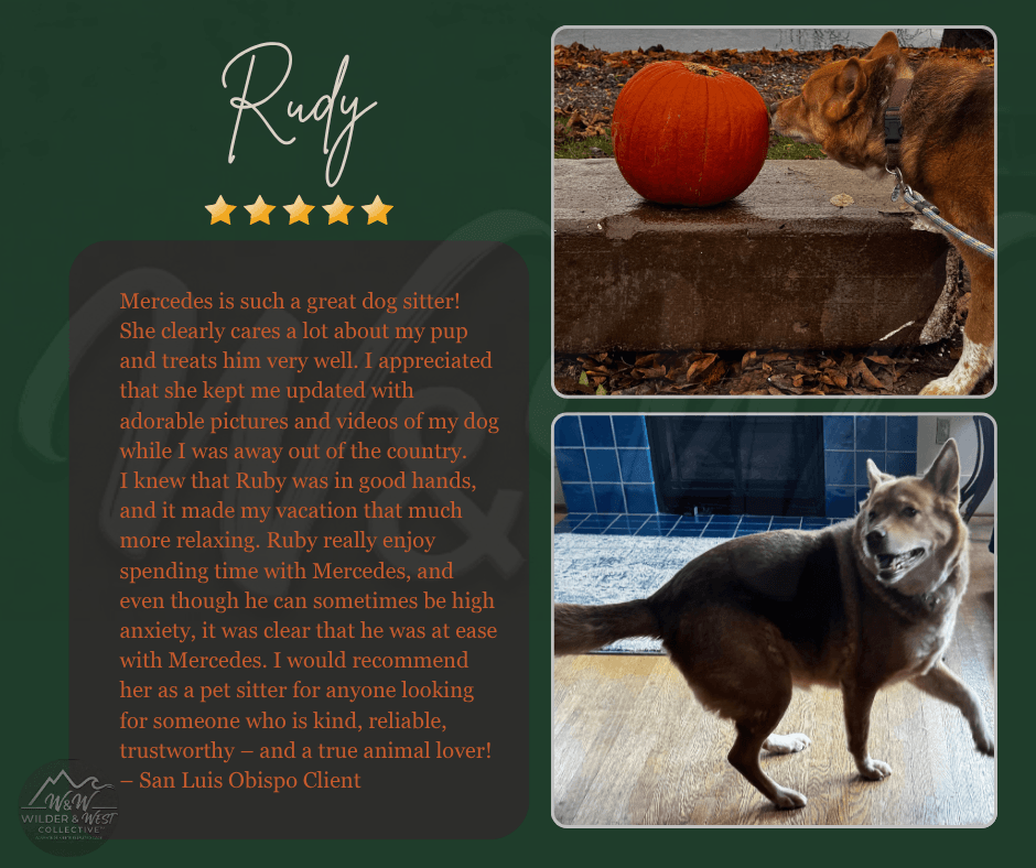 Verified Pet Management Review - San Luis Obispo Client