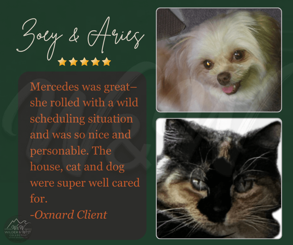 Verified Pet Management Review - Oxnard Client