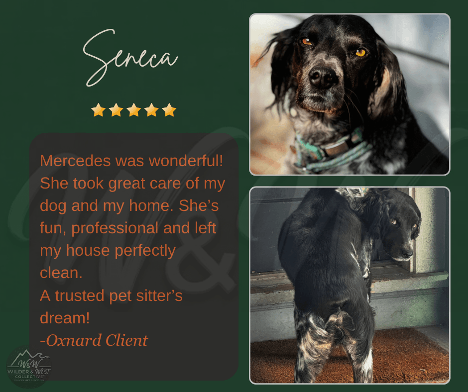 Verified Pet Management Review - Santa Clarita Client