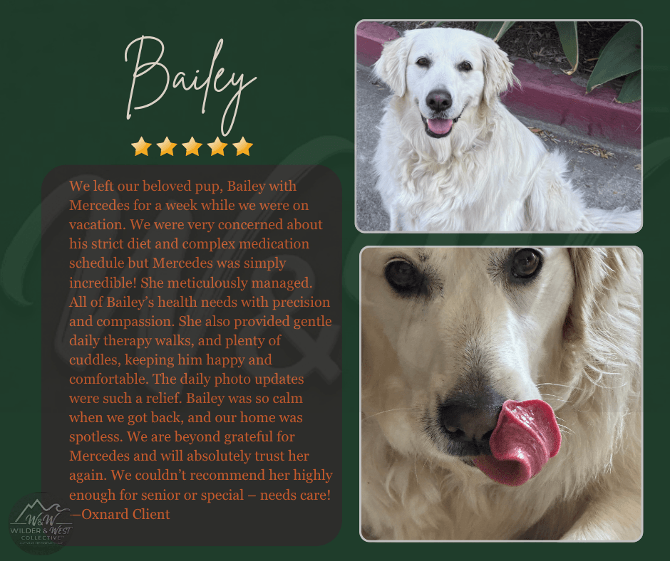 Verified Pet Management Review -  Laguna Nigel Client