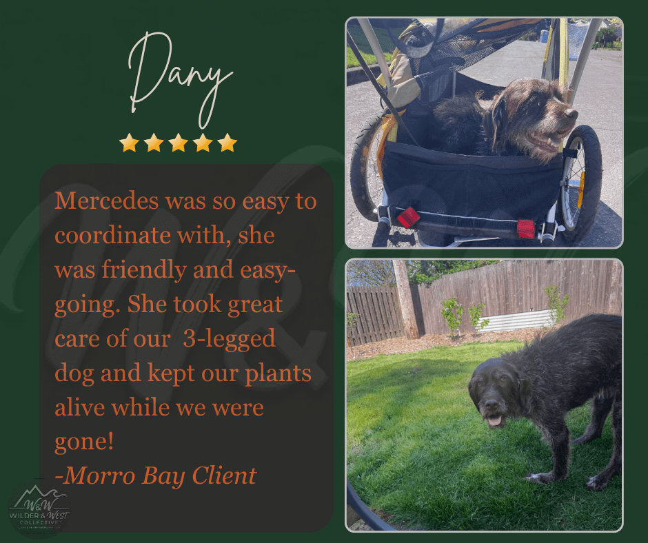 Verified Pet Management Review -  Oxnard Client