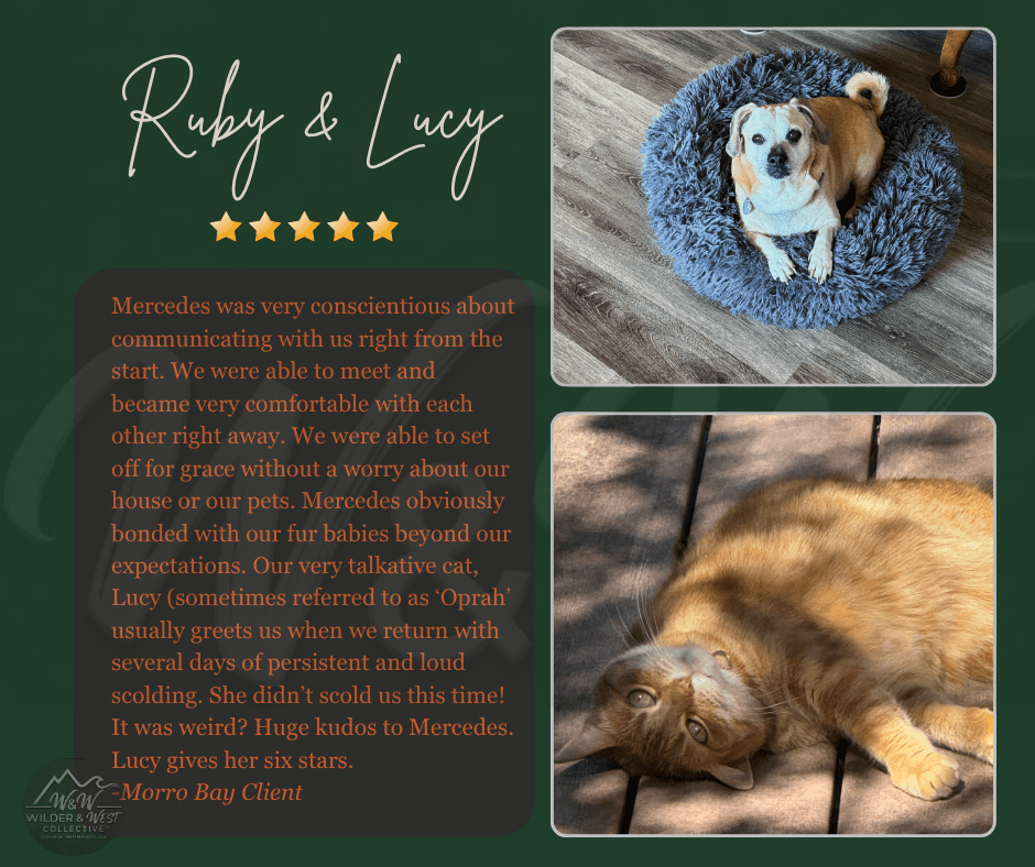Verified Pet Management Review -  Morro Bay Client
