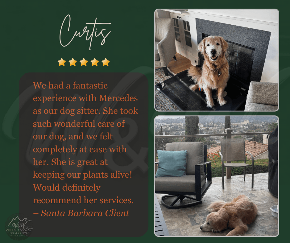 Verified Pet Management Review -  Morro Bay Client