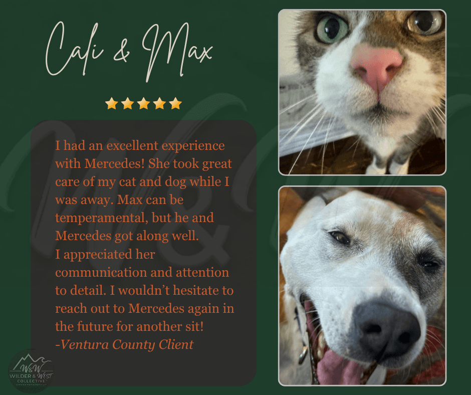 Verified Pet Management Review - Santa Barbara Client