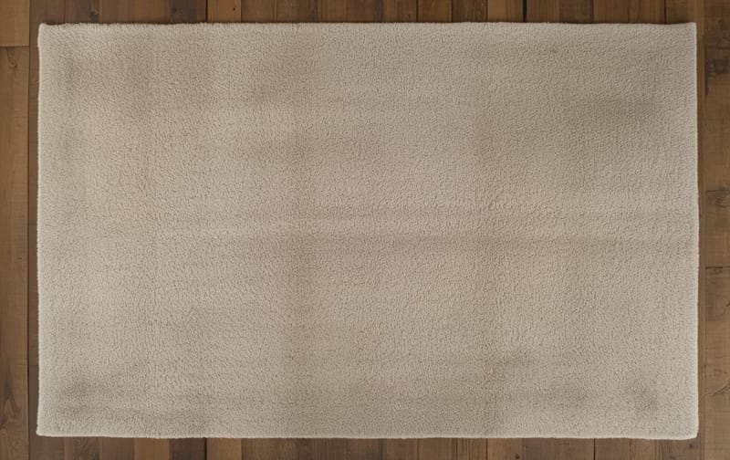 large handmade wool tufted rug on wooden floor, warm beige tones, top view