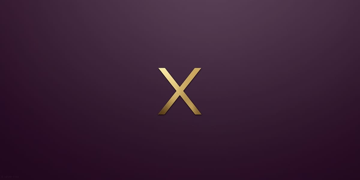 minimal gold monogram XX logo, dark plum background