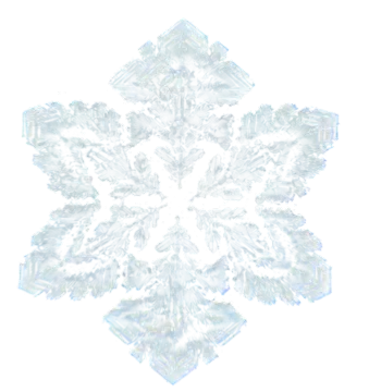 Perfectly formed snowflake pass snowflake standard test