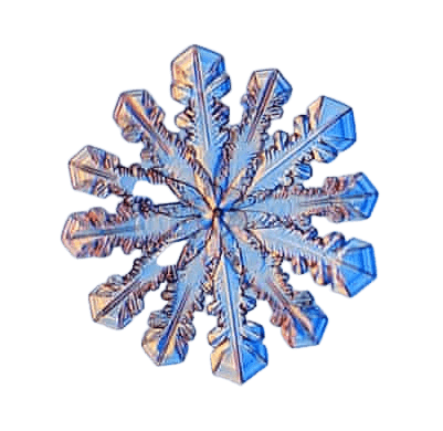 Snowflake indicates living alive healthy water