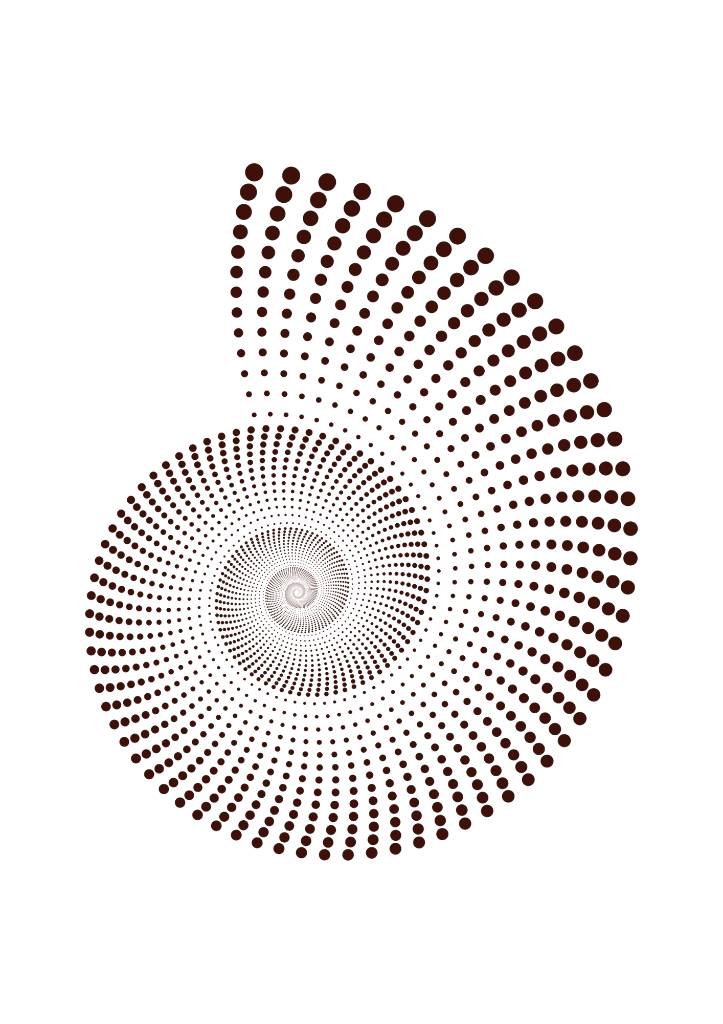 Fibonacci Spiral