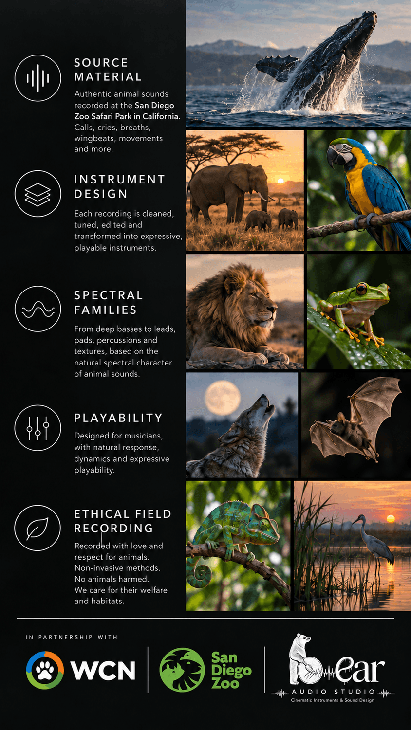 How Symfaunia builds its instruments