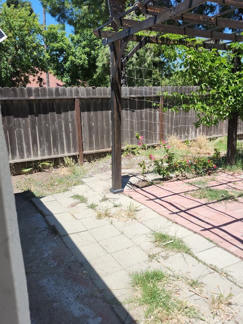 Before yard cleanup with debris and clutter