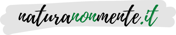 Natura Non Mente