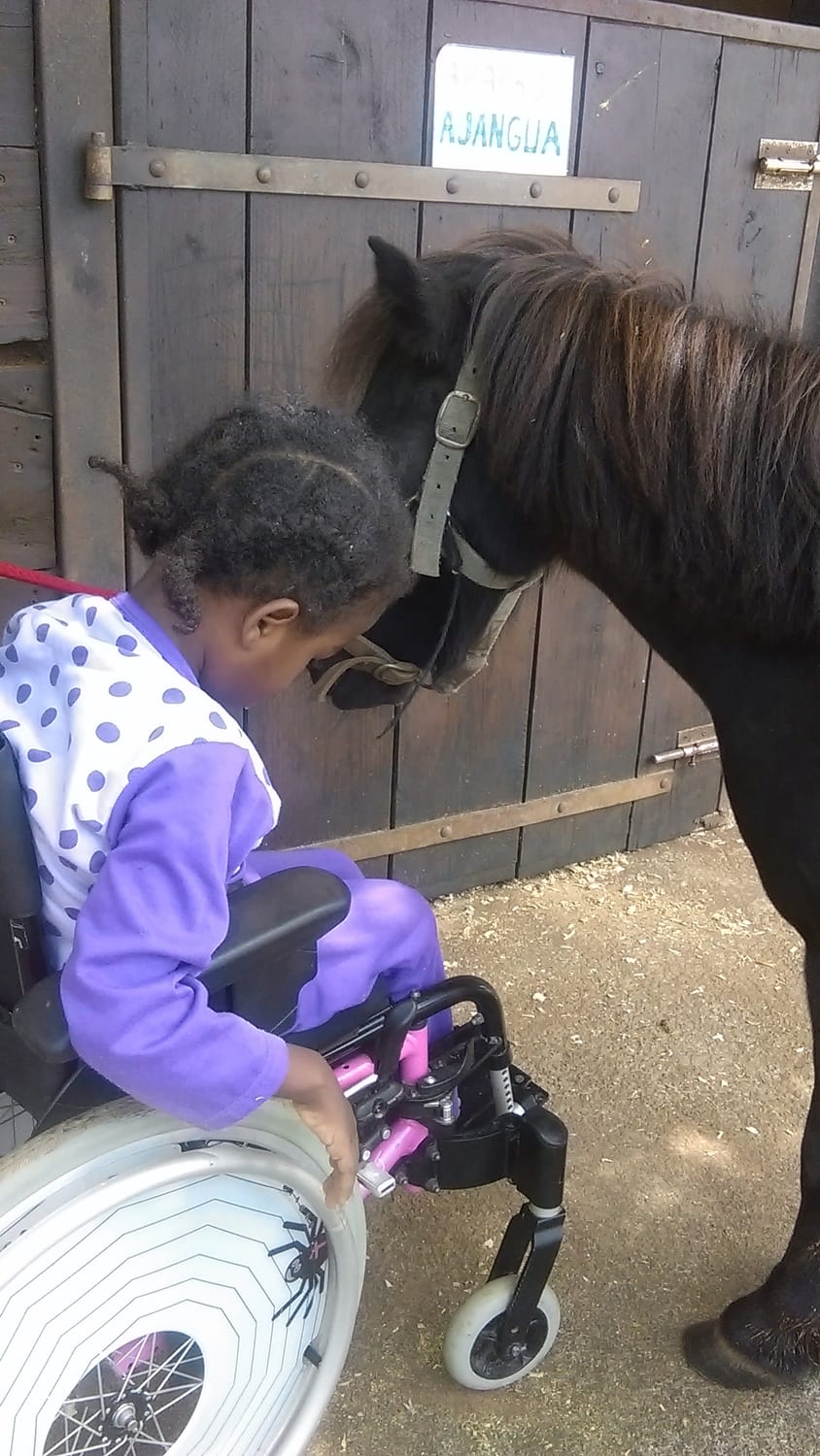 Marie et les chevaux