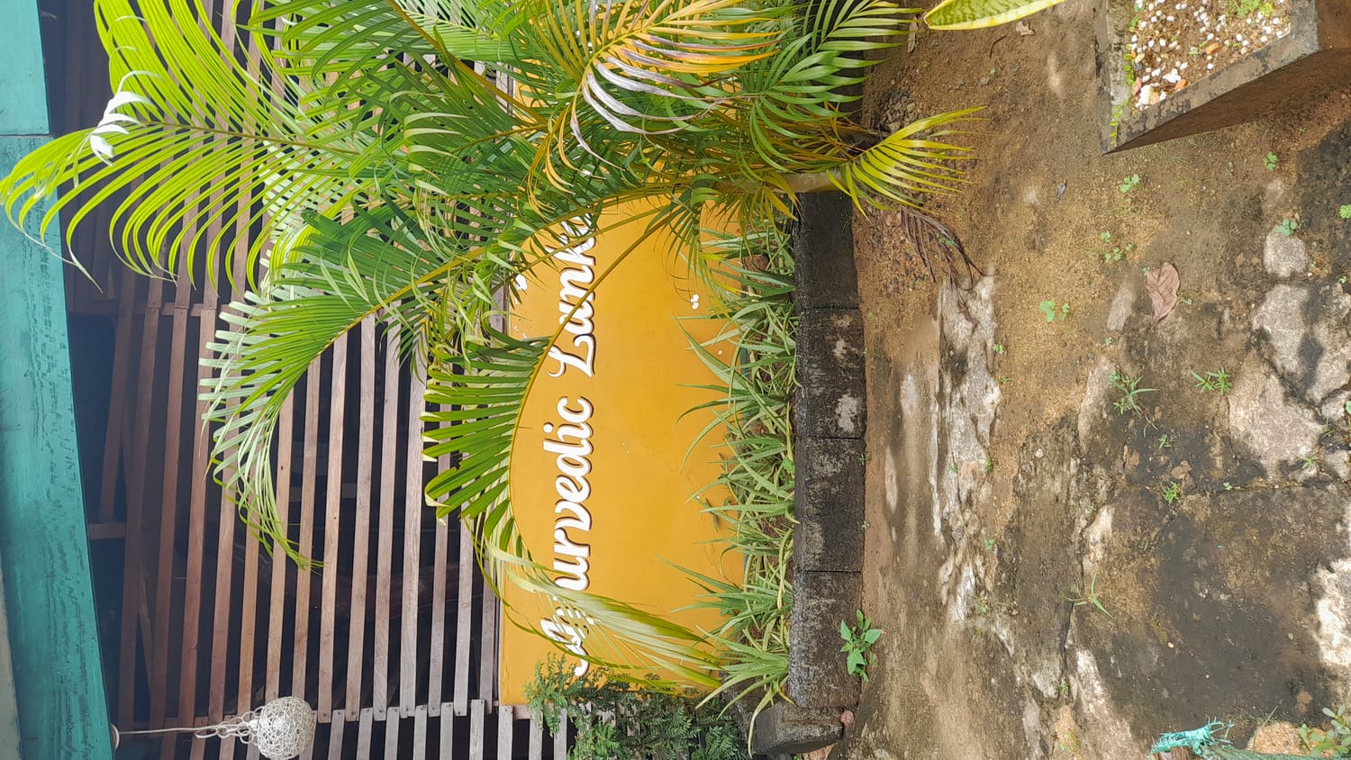 Jardin ayurvédique en Inde