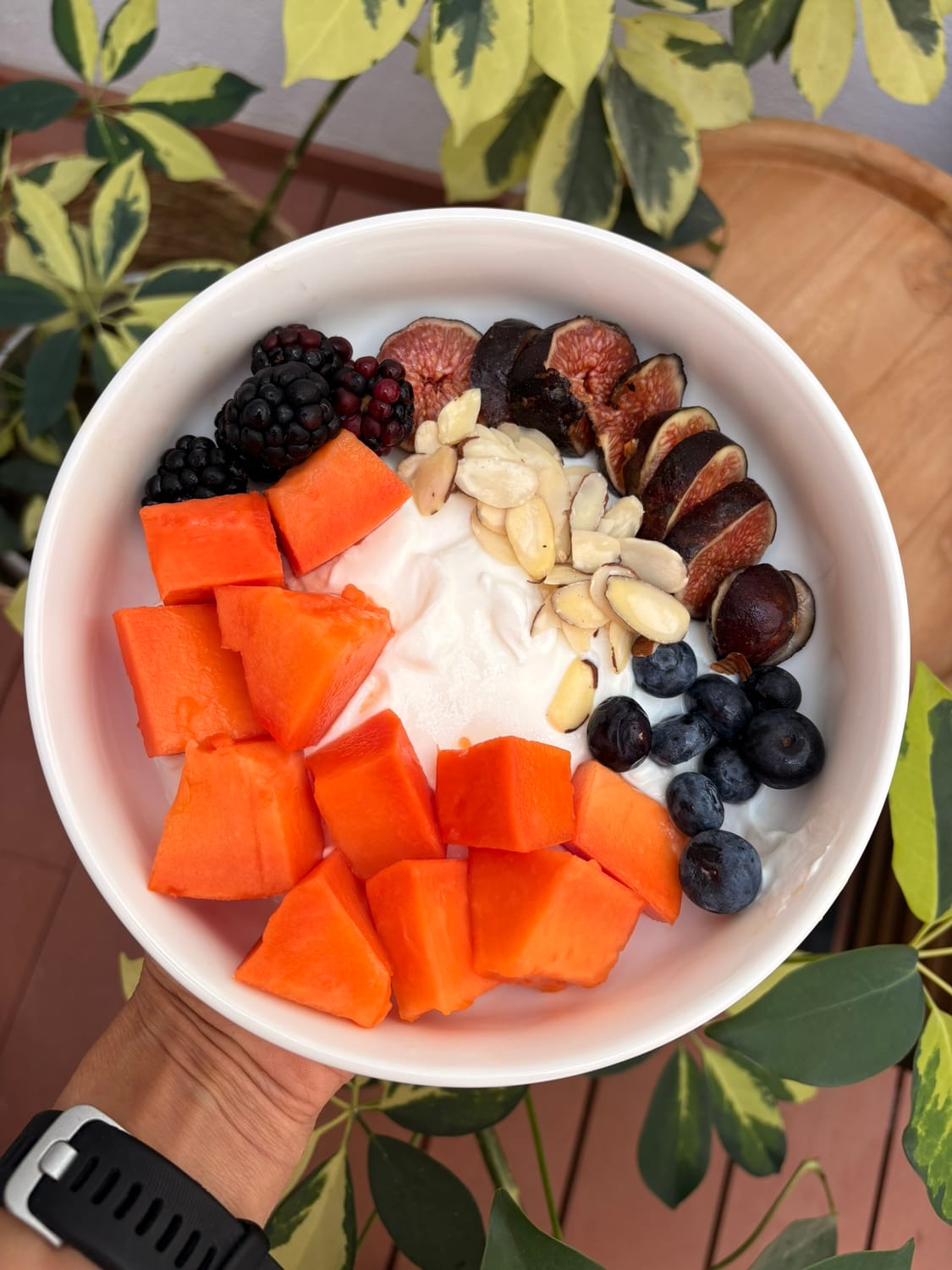 Alimentación Reset Metabólico