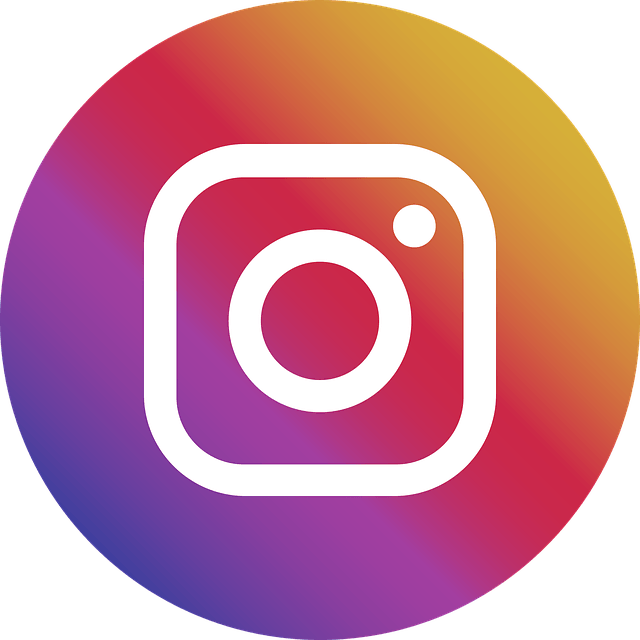 instagram Julie Vidal