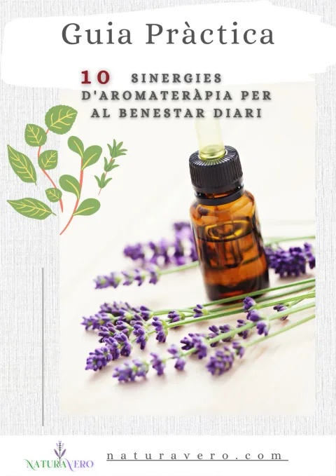 Portada de la guia pràctica: 10 sinergies d’aromateràpia per al benestar diari
