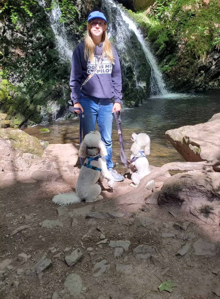 Photo avec deux caniches devant une cascade