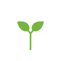 a small sprout of two leaves rising from a short stem