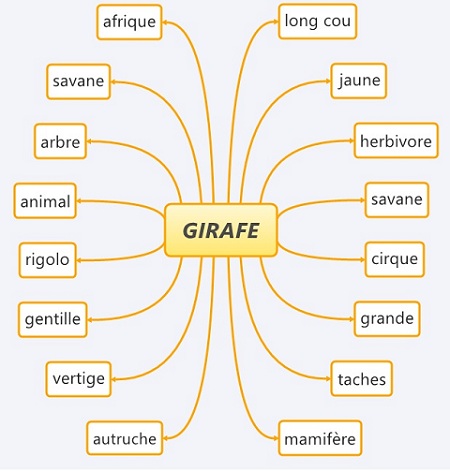 Carte heuristique