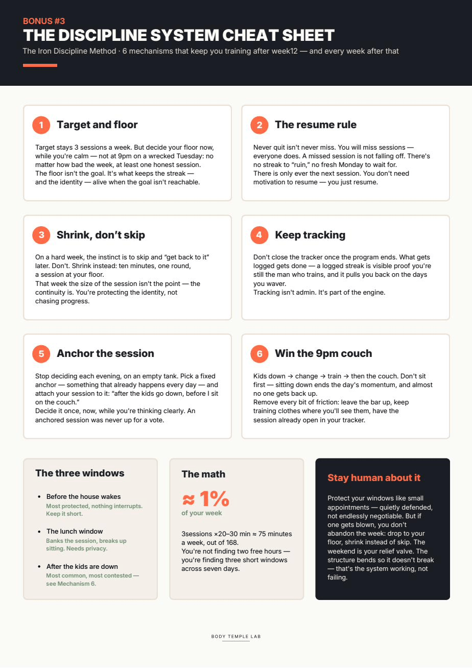 Discipline System Cheat Sheet preview