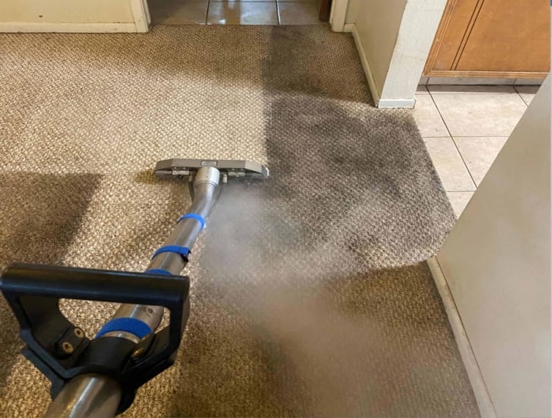 Carpetes