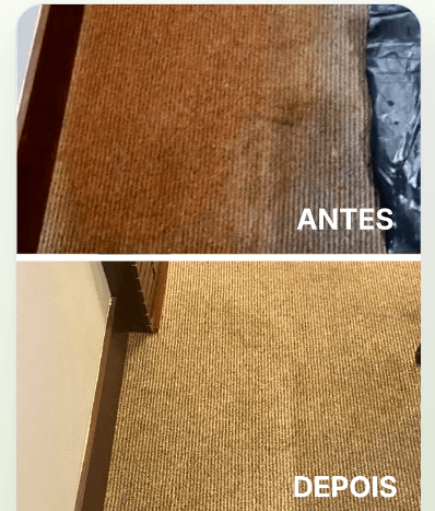 Resultado Natureza & Limpeza 3