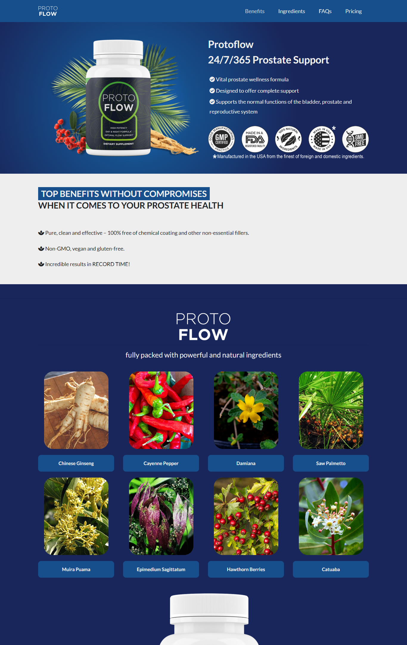 ProtoFlow Homepage