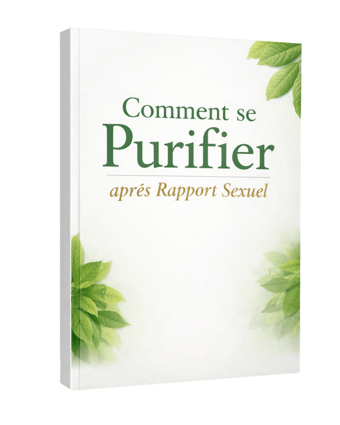 Comment Se Purifier Après Rapport Sexuel