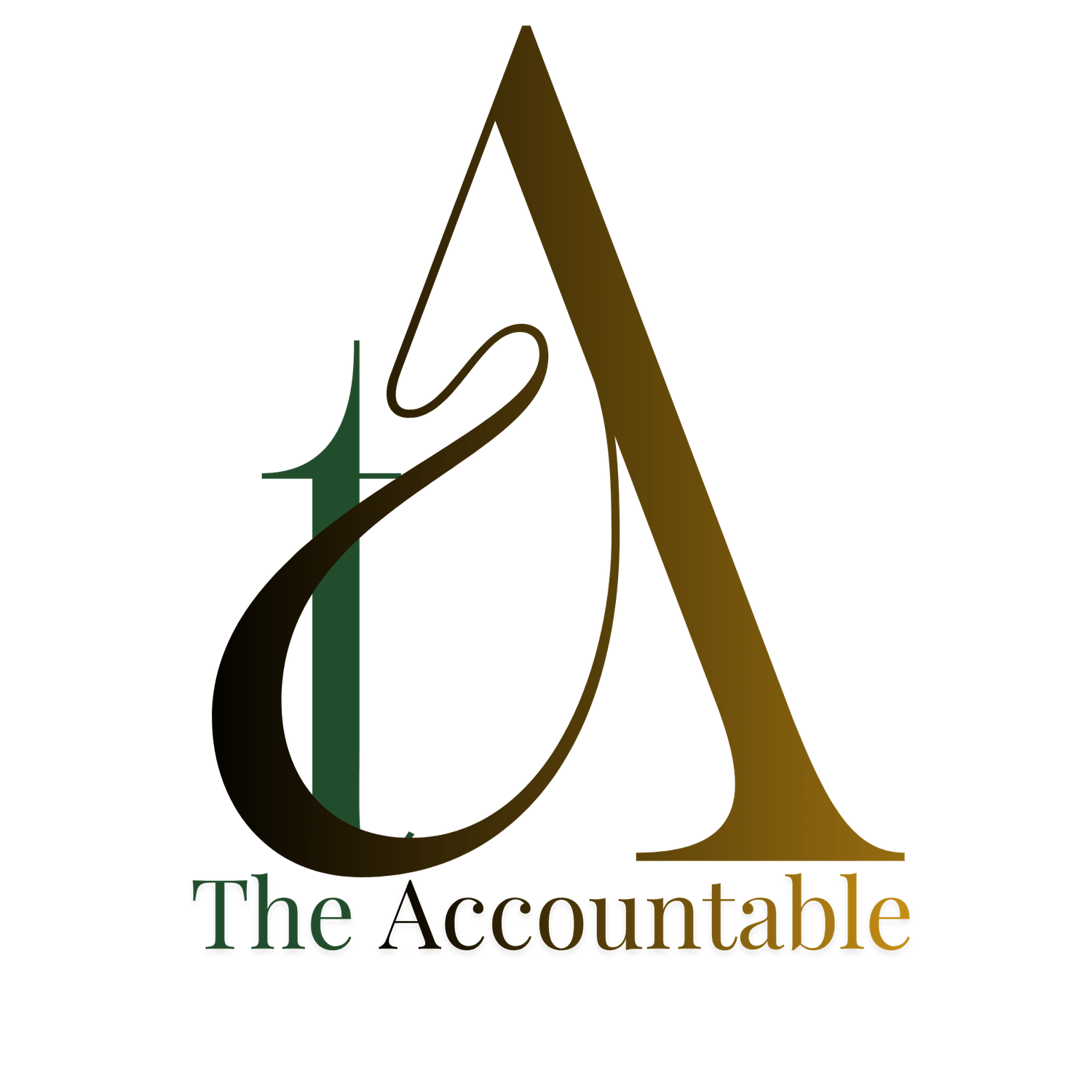 THE ACCOUNTABLE