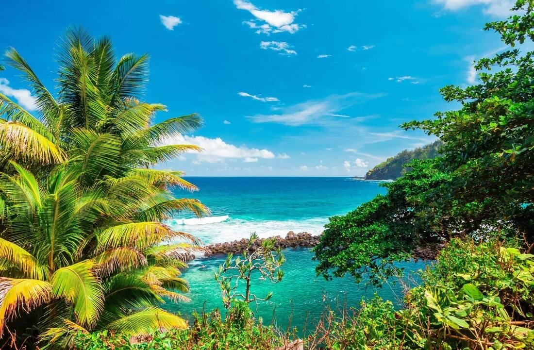 Baie tropicale bordée de palmiers