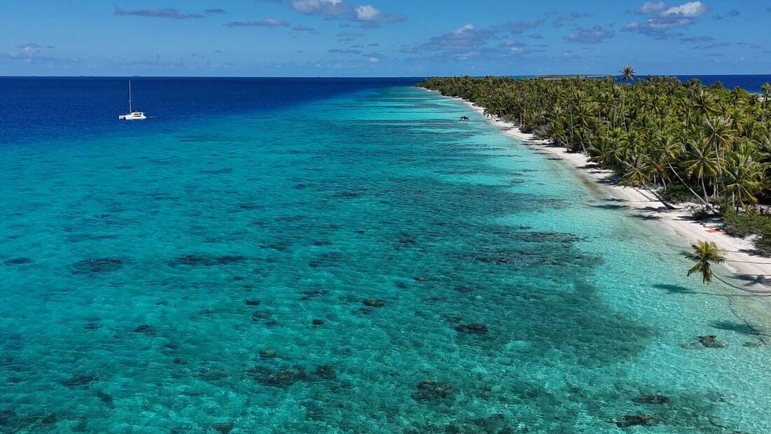 Vue aérienne d'un lagon turquoise et d'un motu bordé de palmiers