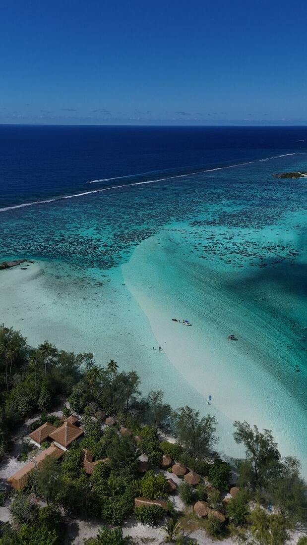 Vue aérienne d'un lagon et d'une plage bordée de cocotiers
