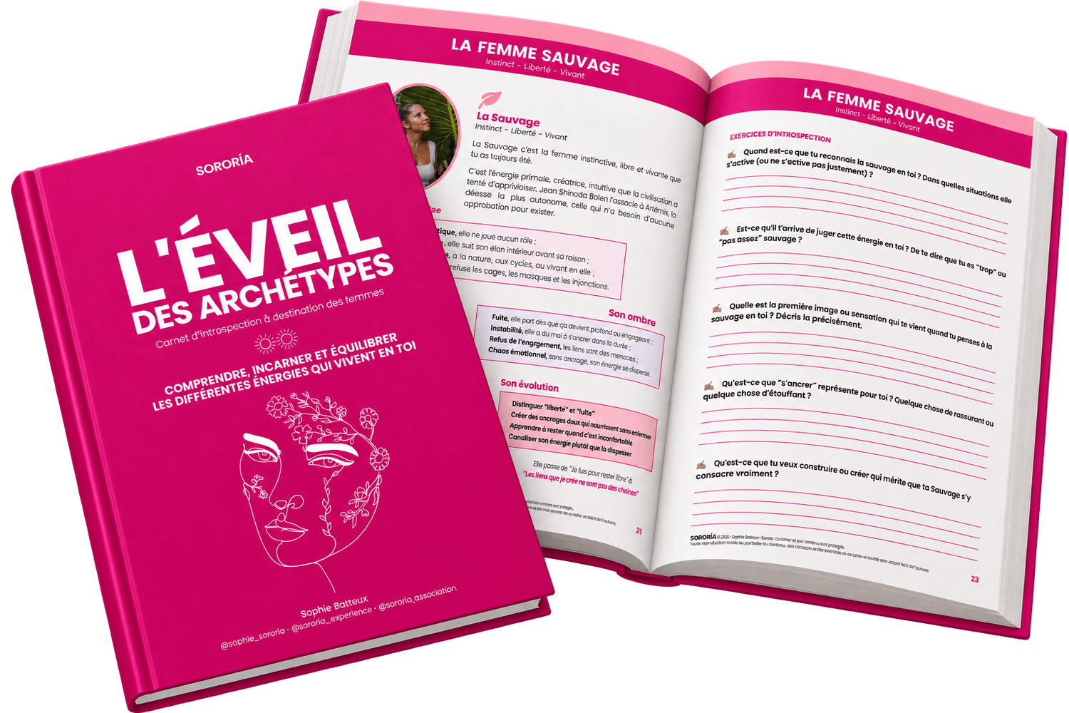 Le Carnet d'Éveil des Archétypes