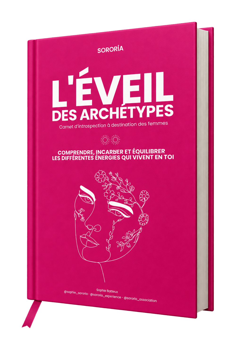 Aperçu du Carnet d'Éveil des Archétypes