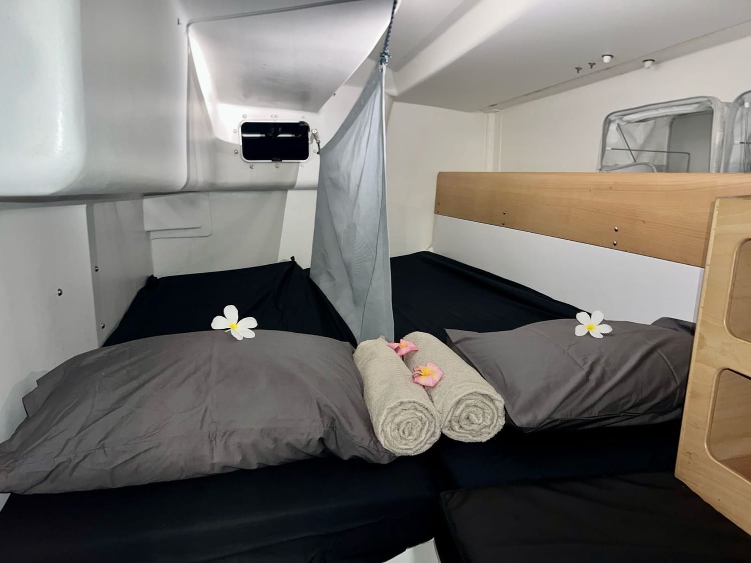 Cabine partagée à bord du Pogo 44