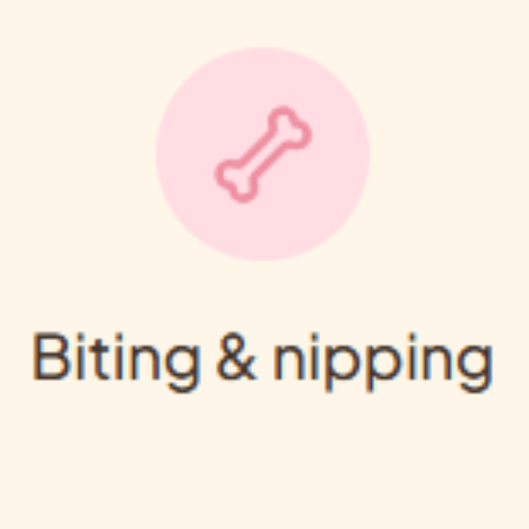 Minimalist pet education graphic with a pink dog bone icon above the text “Biting & nipping” on a soft cream background.