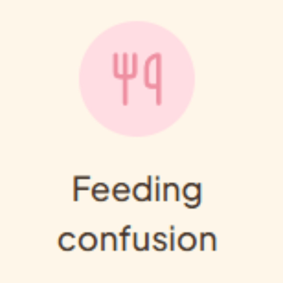 Minimalist pet education graphic with pink fork and spoon icons above the text “Feeding confusion” on a soft cream background.
