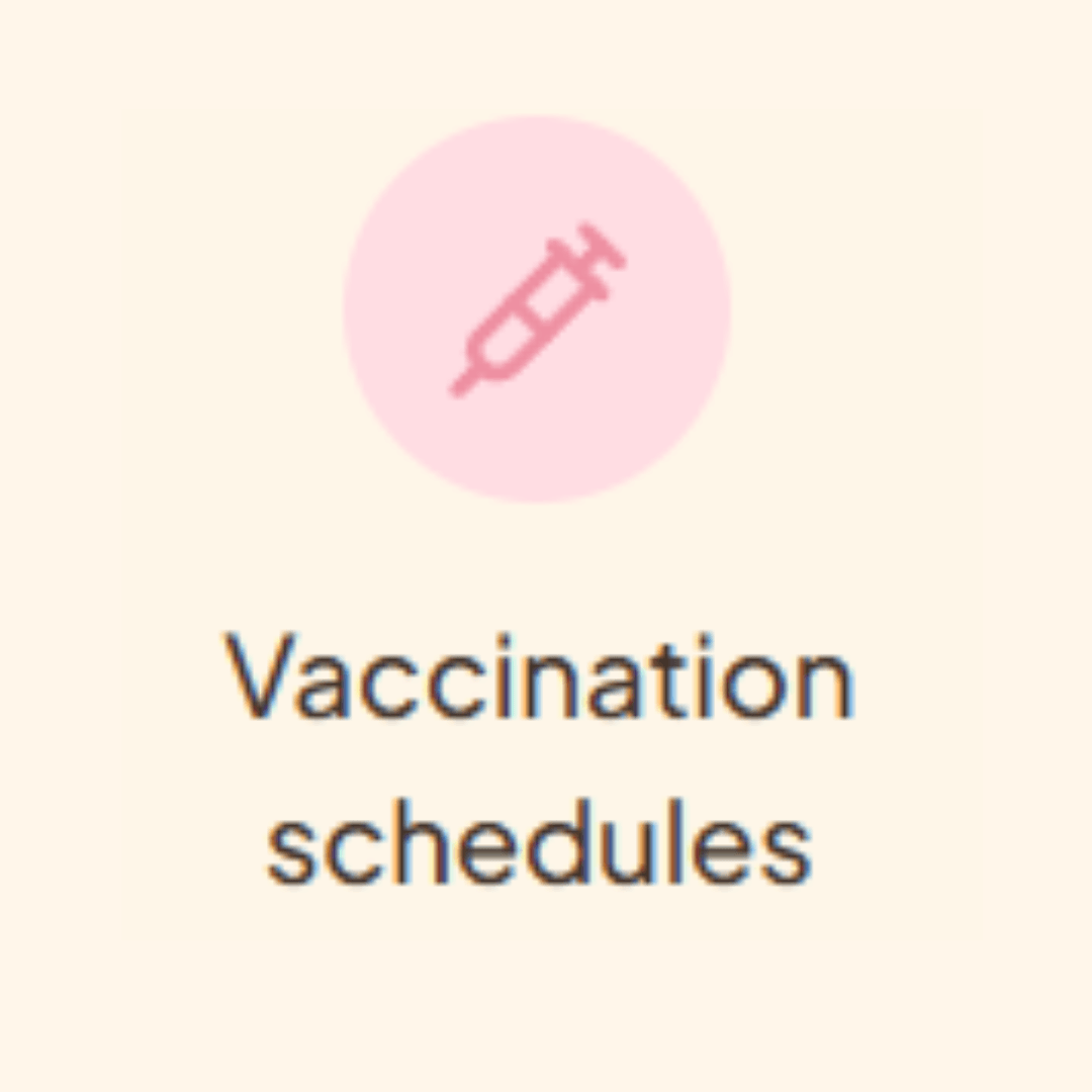 Minimalist pet education graphic with a pink syringe icon above the text “Vaccination schedules” on a soft cream background.