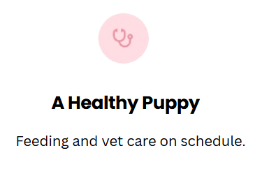 White rounded card with a pink stethoscope icon, titled “A Healthy Puppy,” with the subtitle “Feeding and vet care on schedule.