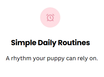 White rounded card with a pink alarm-clock icon, titled “Simple Daily Routines,” with the subtitle “A rhythm your puppy can rely on.