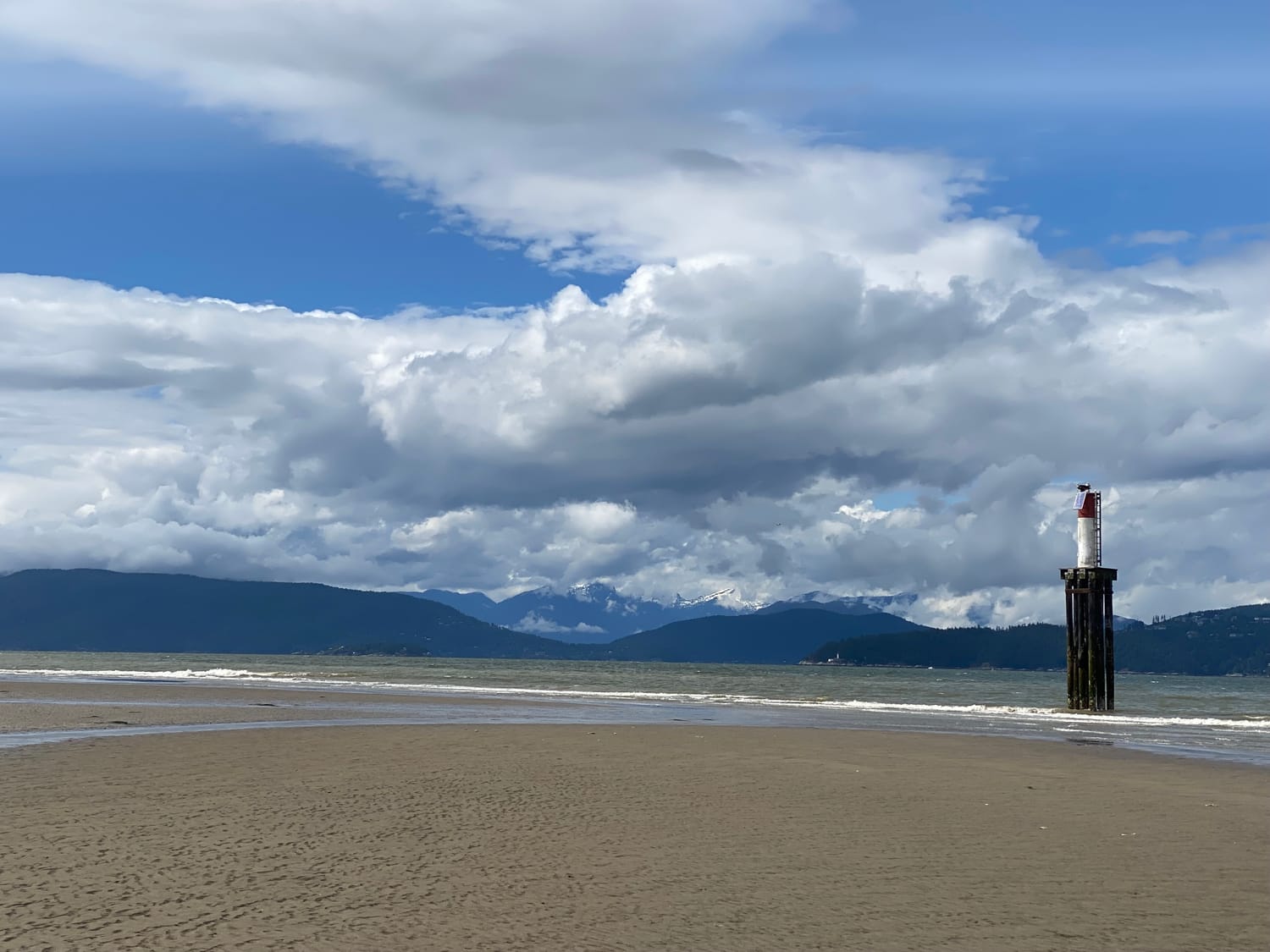 Vancouver Walking Tour - Walk Vancouver's Low Tides