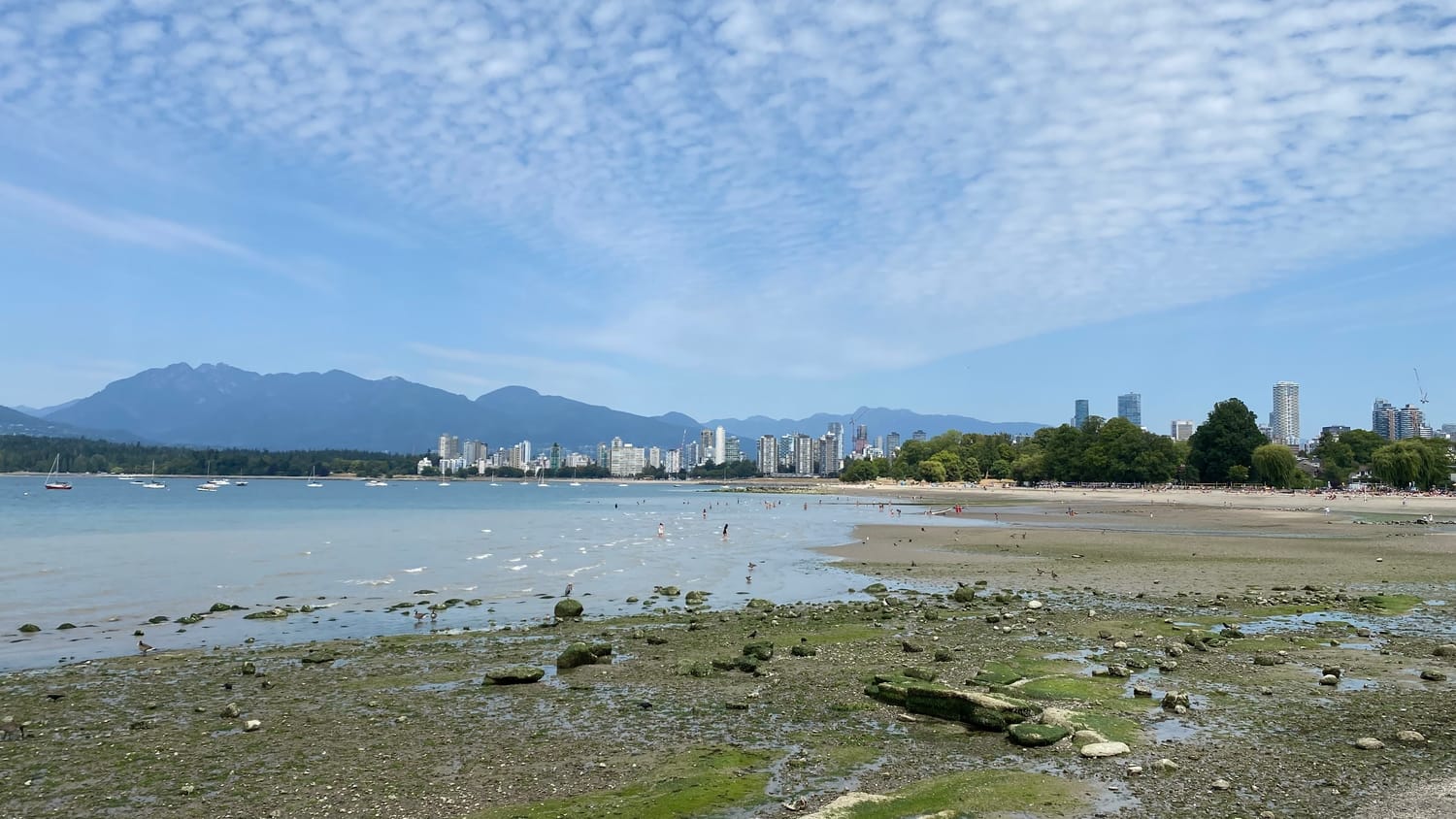 Rocky coastal shore with views of Downtown Vancouver on Darling Walks Tour