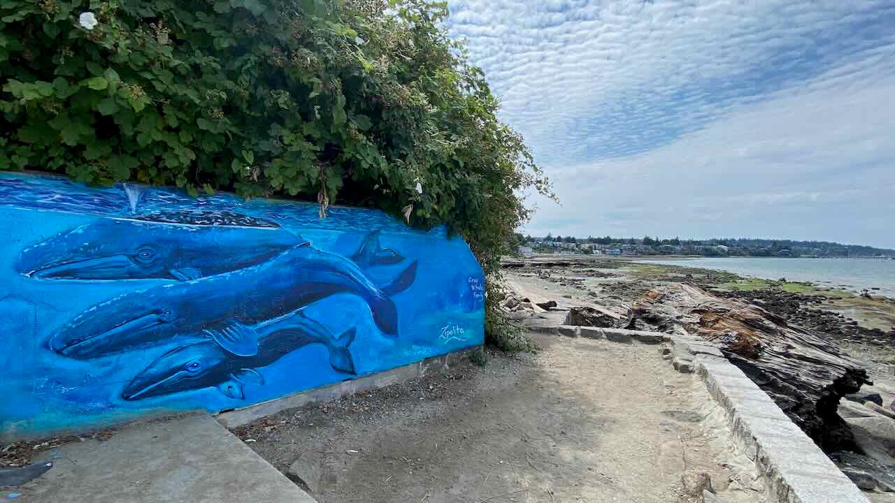 Whale mural in Vancouver Kitsilano at beachside access on Darling Walks guided tour