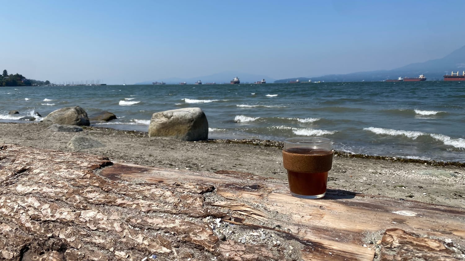 Coffee on log on rocky coastline in Vancouver Kitsilano at beachside access on Darling Walks guided tour