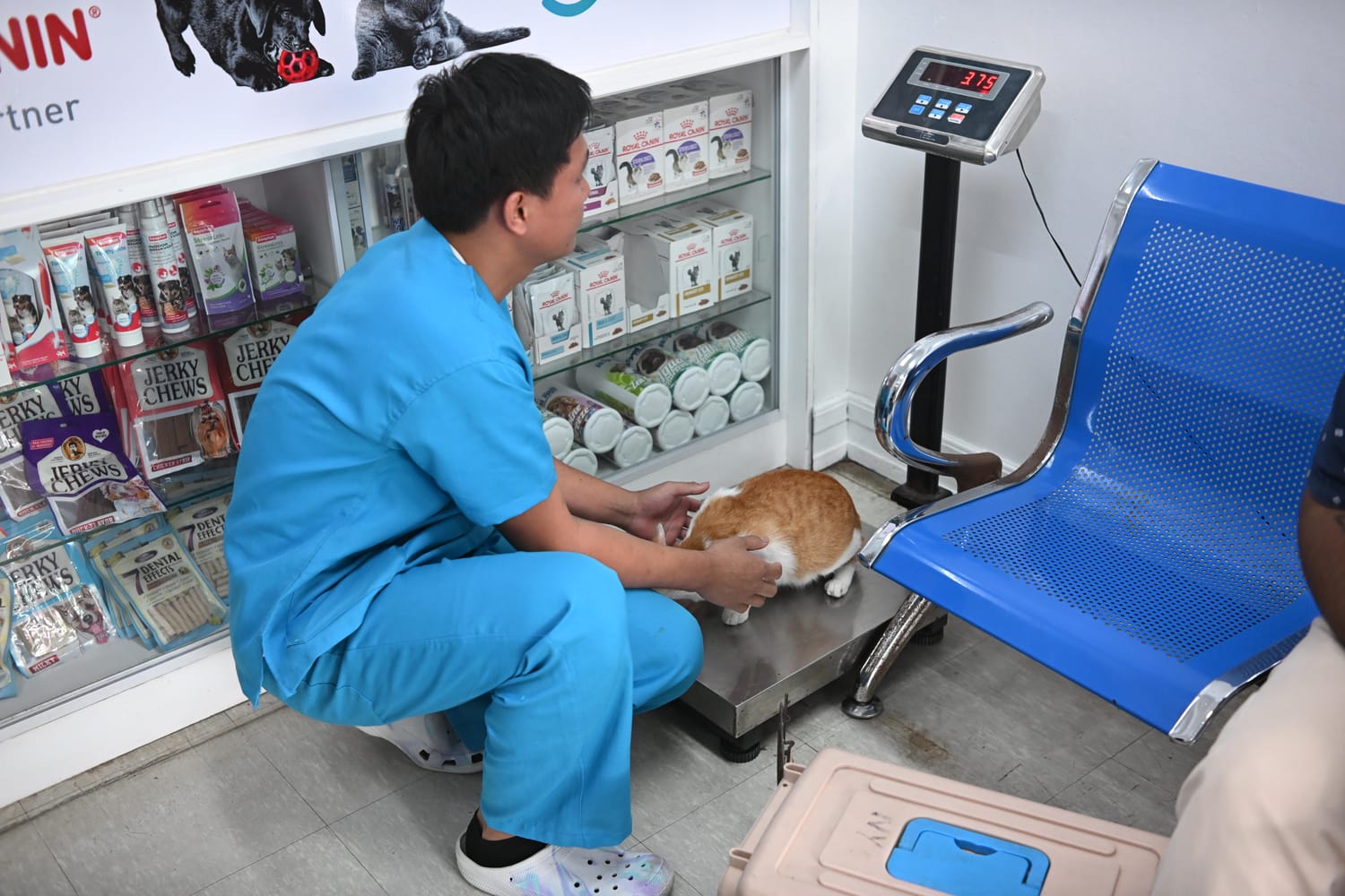 Wellness Care & Preventives at Estacion Animales Clinica Veterinaria