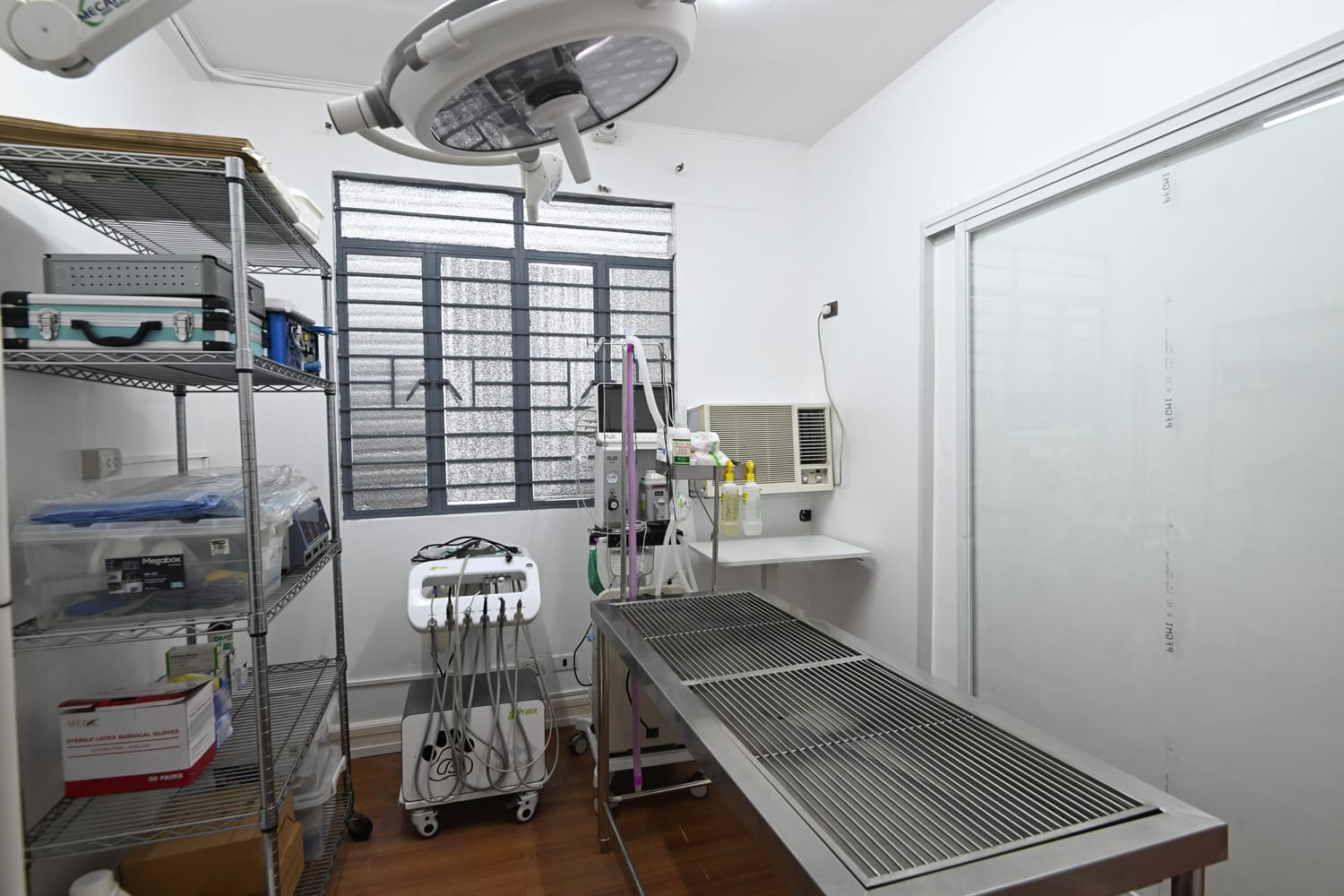 Surgery at Estacion Animales Clinica Veterinaria