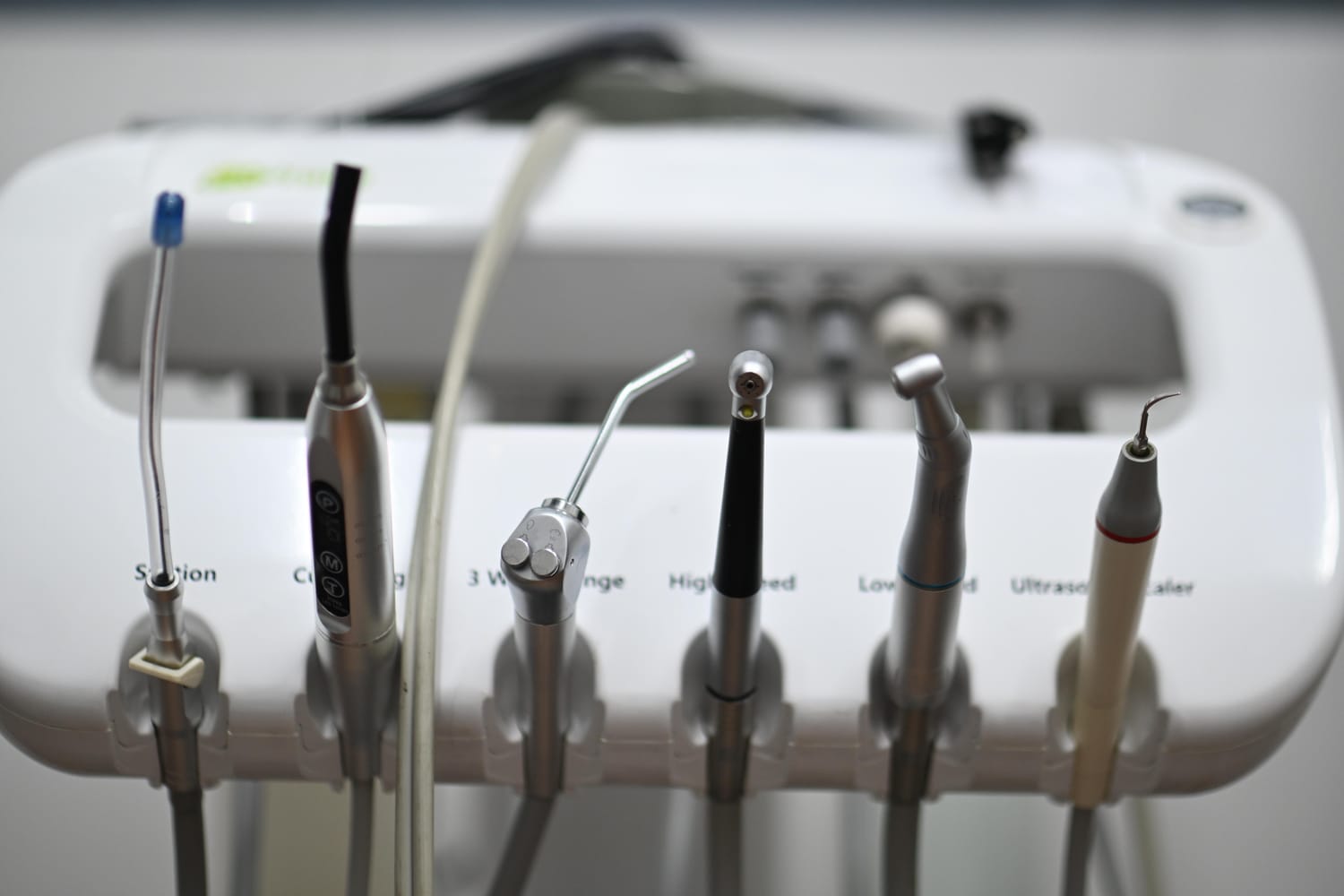 Dental Services at Estacion Animales Clinica Veterinaria