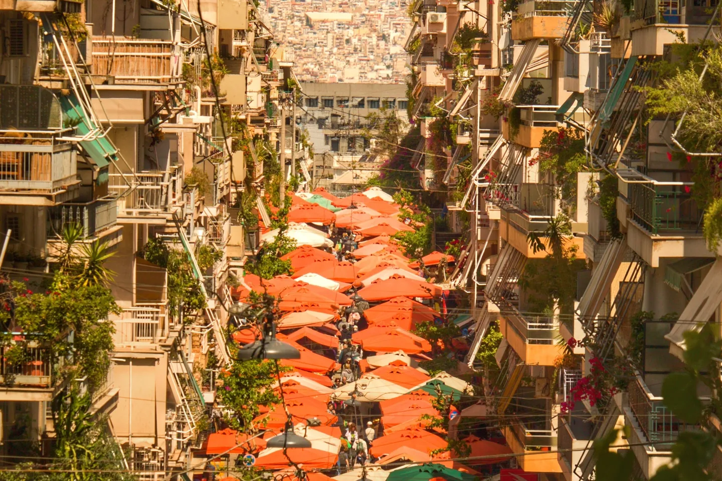 Modern Athens street with apartment buildings, balconies and greenery