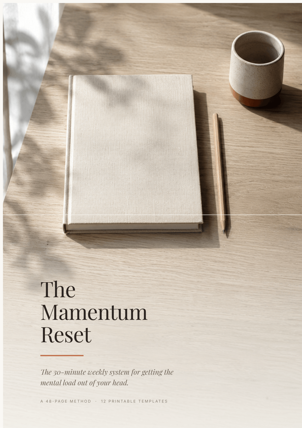 The Mamentum Reset cover